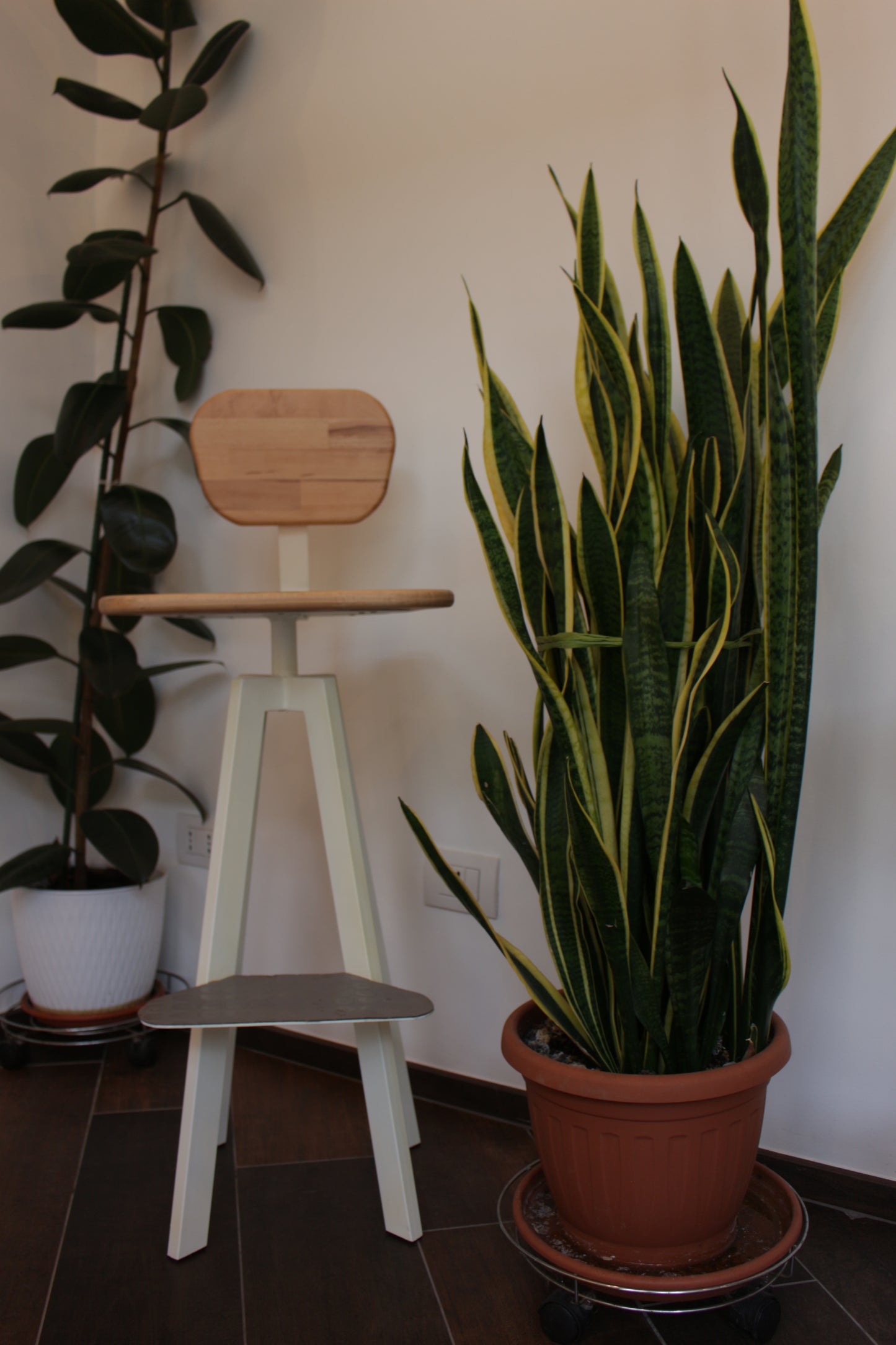 "PAOLA" stools